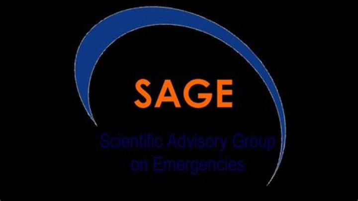 What is the Scientific Advisory Group for Emergencies (SAGE)?