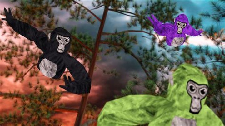 What is the Suns Gorilla name?