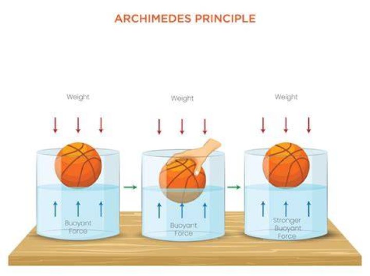 What is the wet principle?