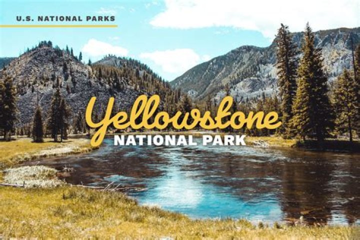 What is there to do in Yellowstone National Park at night?