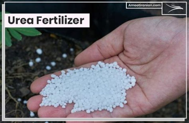 What is urea fertilizer?