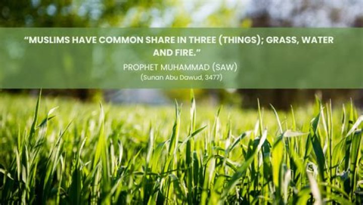 What Islam says about medicine?