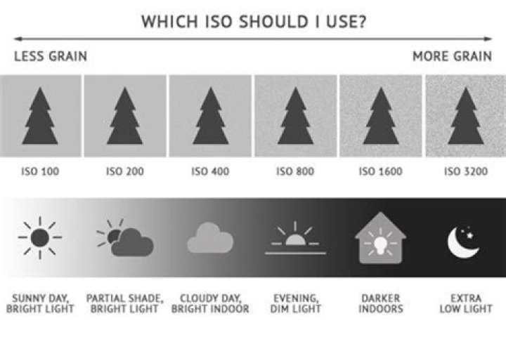 What ISO should I use for low light?