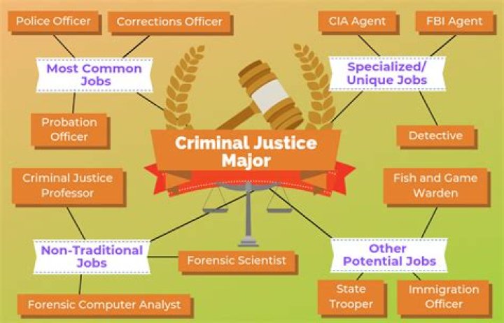 What jobs can I not do with a criminal record?