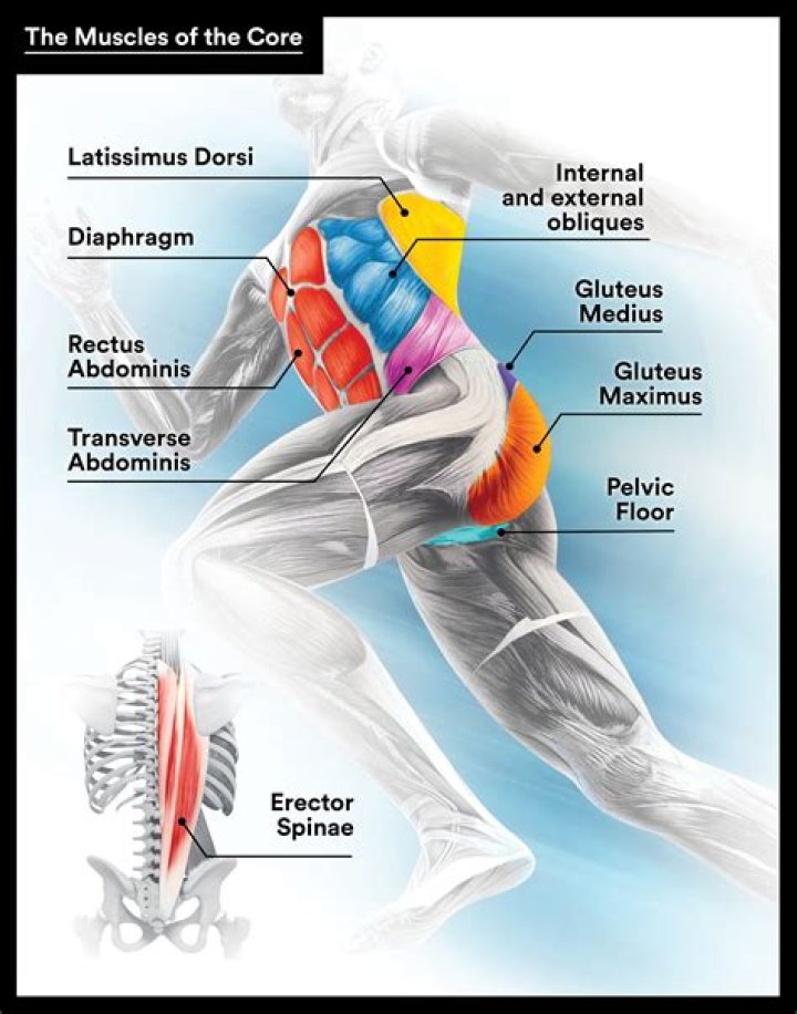 What jogging does to body?
