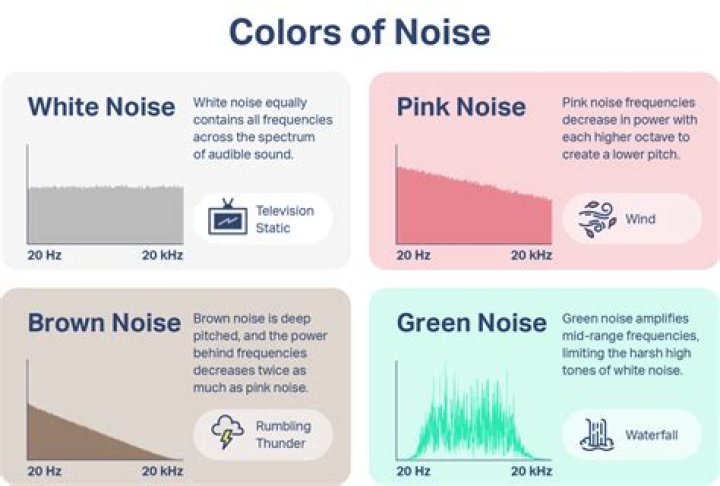 What kind of noise do bats make in attic?
