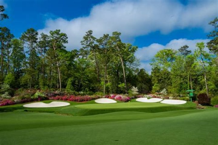 What kind of trees are at Augusta National Golf Course?