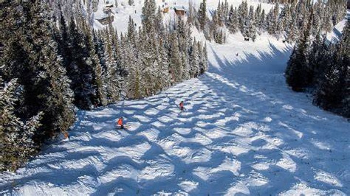 What makes a mogul ski?