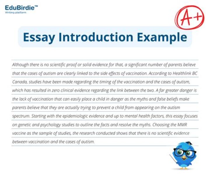 What makes an essay an essay?