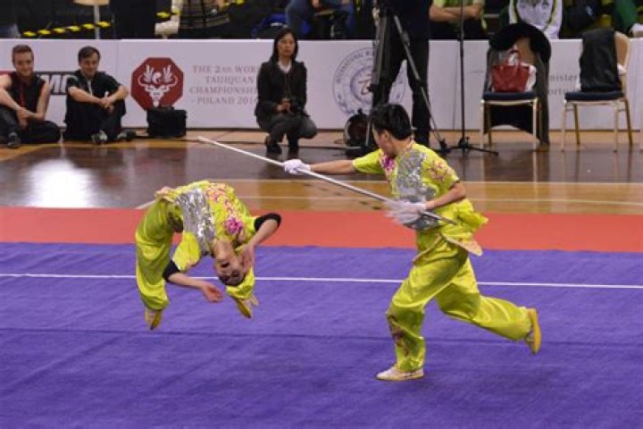 What martial art is wushu?