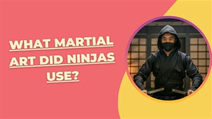 What martial arts did Ninjas use?