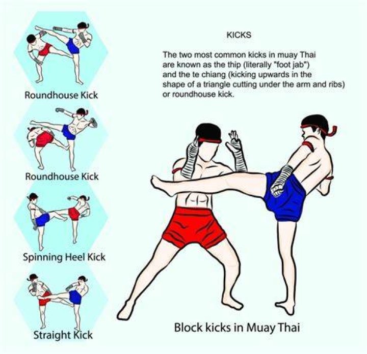 What moves are allowed in Muay Thai?