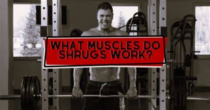 What muscles do shrugs work?