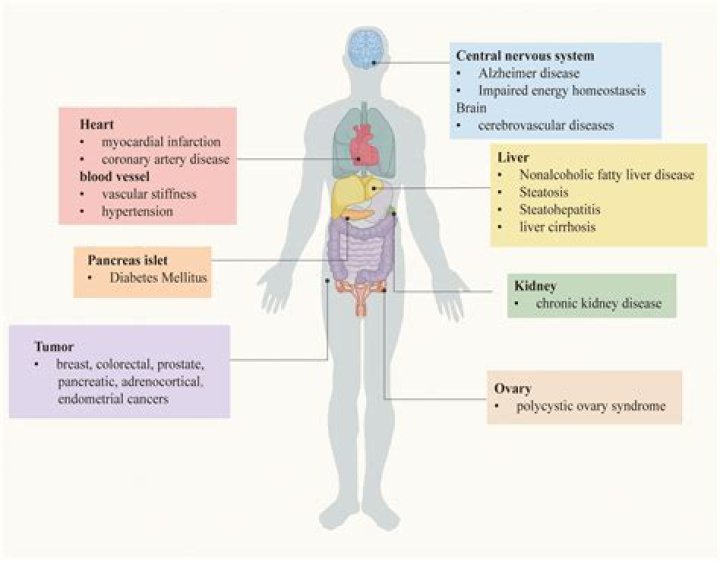 What organ system does chronic fatigue syndrome affect?