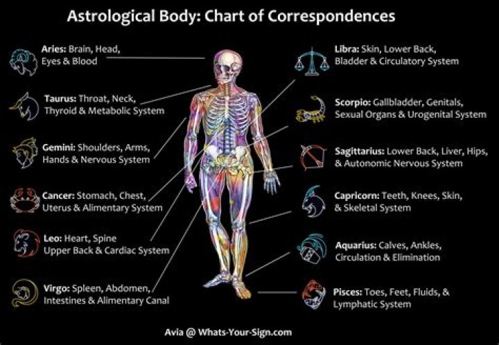 What part of your body has to cross the line in track?
