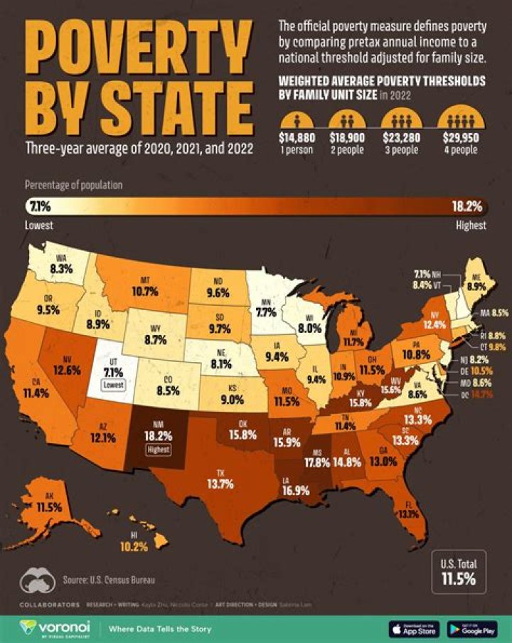What percent of the US is in poverty?