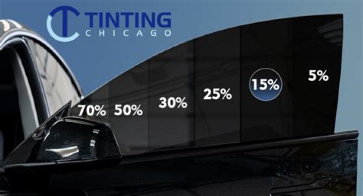 What percent of Toronto is Black?