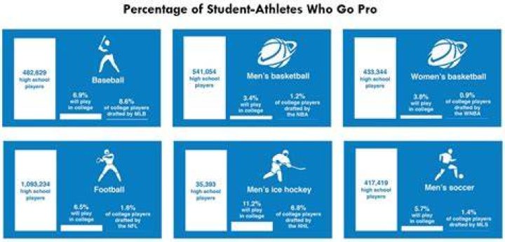 What percentage of D2 athletes go pro?