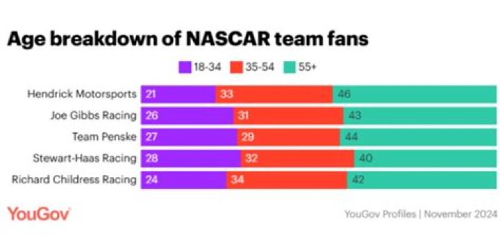 What percentage of NASCAR fans are white?
