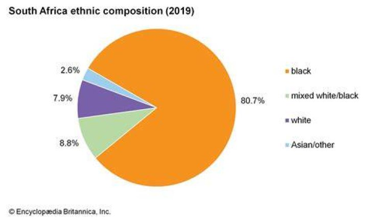 What percentage of South Africa is white?