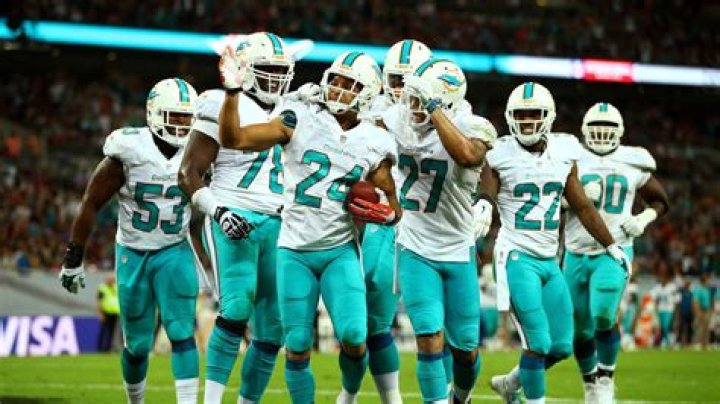 What percentage of the Miami Dolphins Does Serena Williams own?