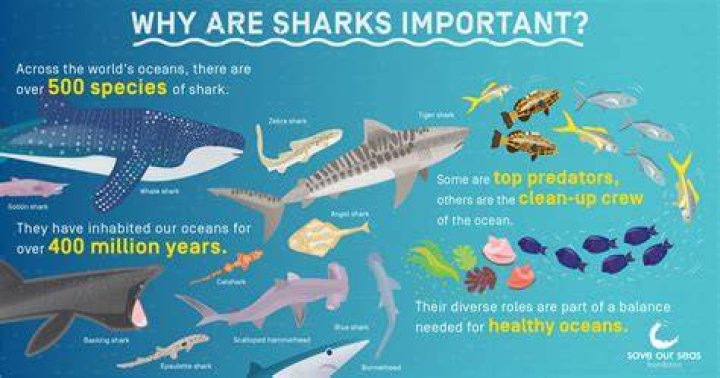 What scent keeps sharks away?