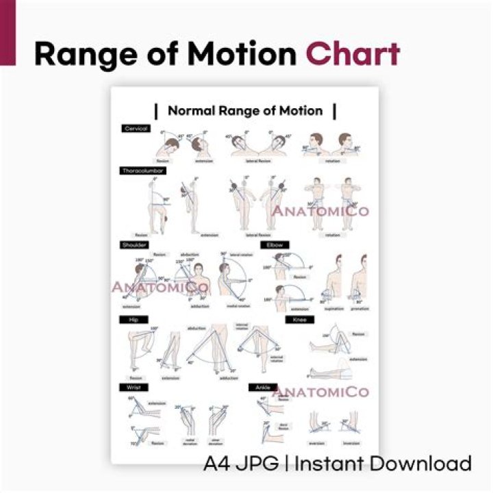 What should my range of motion be 6 weeks after TKR?