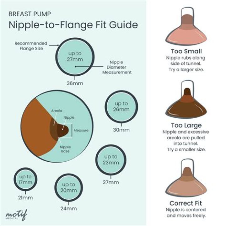 What should nipples look like while pumping?