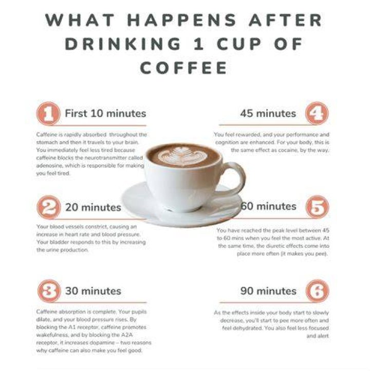What should we drink after morning walk?