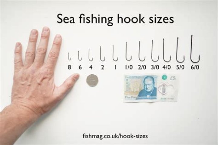 What size fish board should I get?