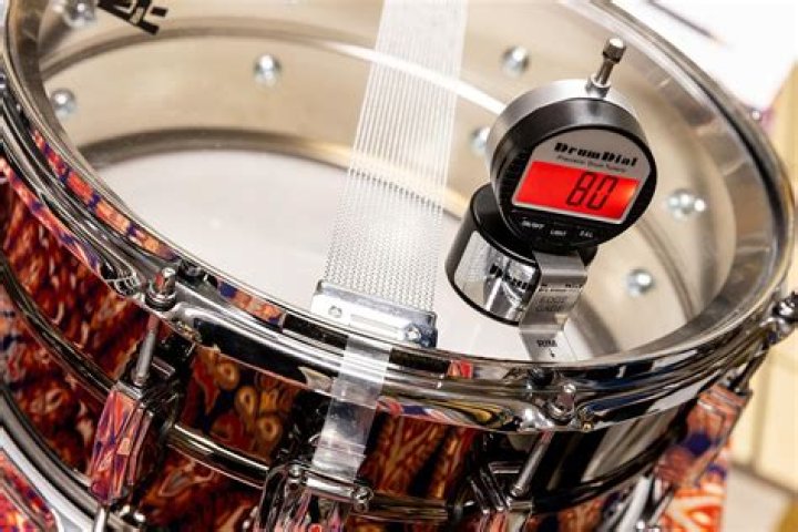 What snare heads did Bonham use?