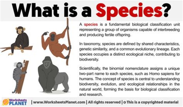 What species is a Yoda?