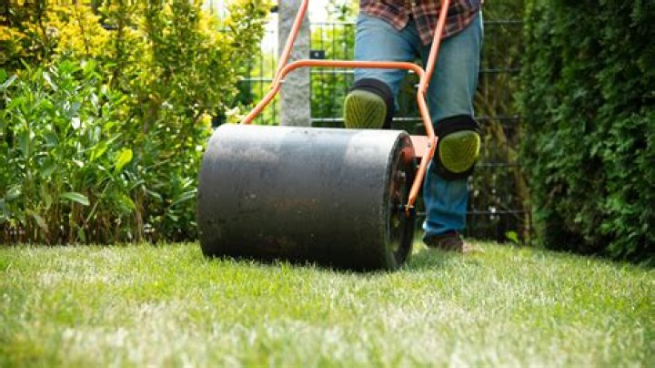 What speed should you roll grass?