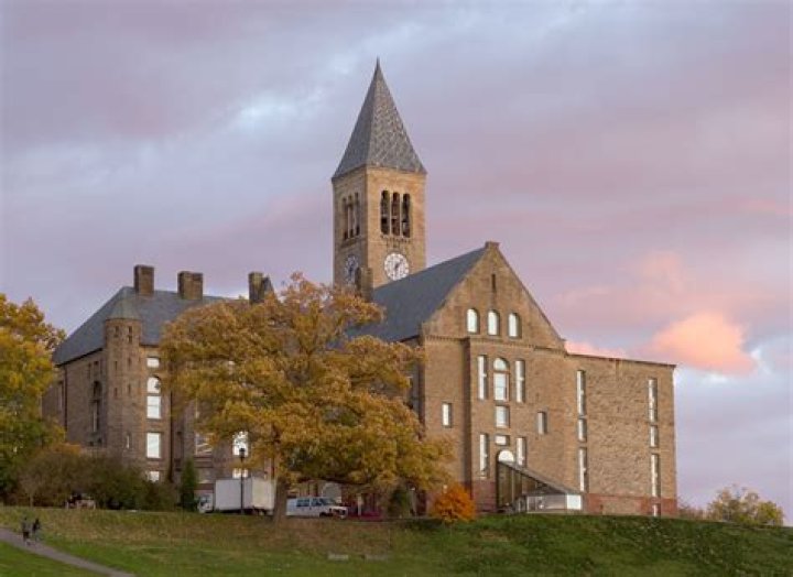 What sport is Cornell best at?