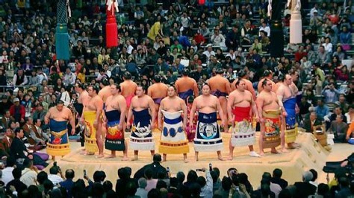 What sport originated in Japan?