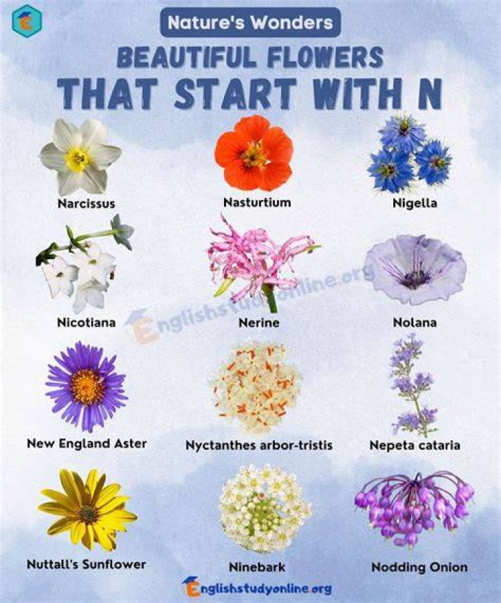 What starts with Ma?