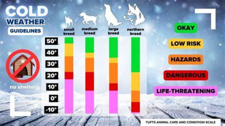 What temp is too cold for composite bats?