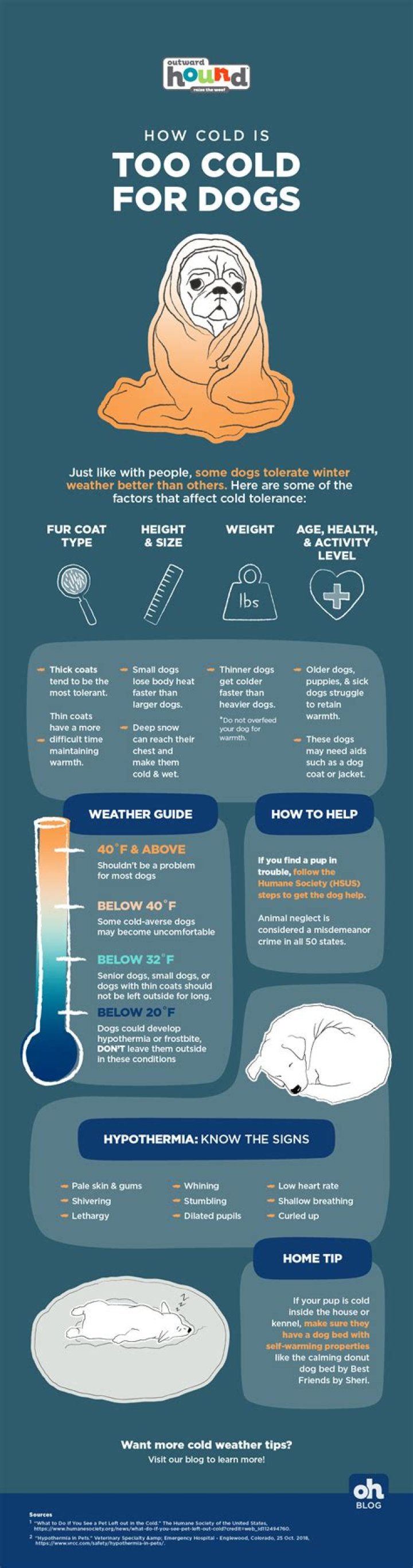 What temp is too cold for kids to ski?