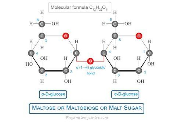 What test would be used to differentiate between glucose and maltose?