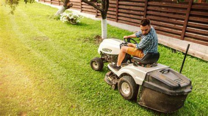What time of day is best to mow?