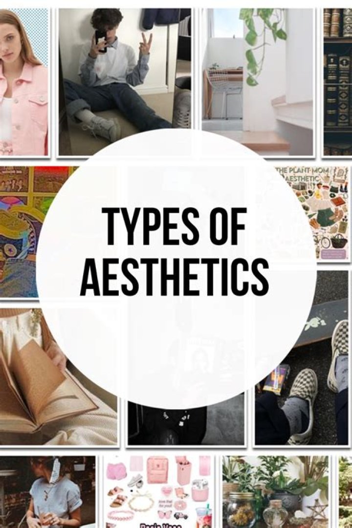 What type of aesthetic is Tyler the Creator?