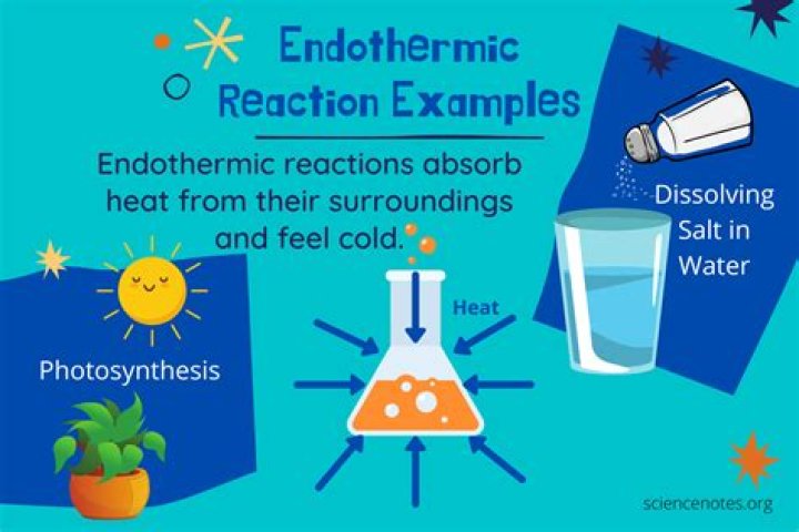 What type of reaction is baking soda and vinegar endothermic or exothermic?