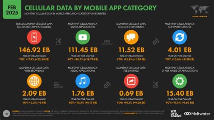 What uses the most data on cell phone?