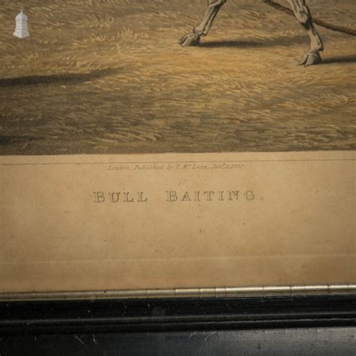 What was the point of bull-baiting?