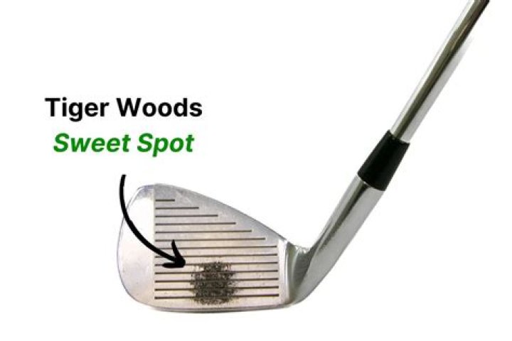 What weight is Tiger Woods putter?
