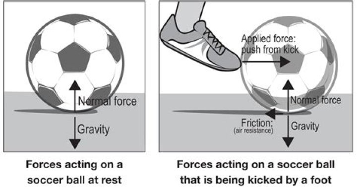 When a ball is thrown upward it falls after reaching a certain height identify the force that is responsible for the downward movement of the ball?