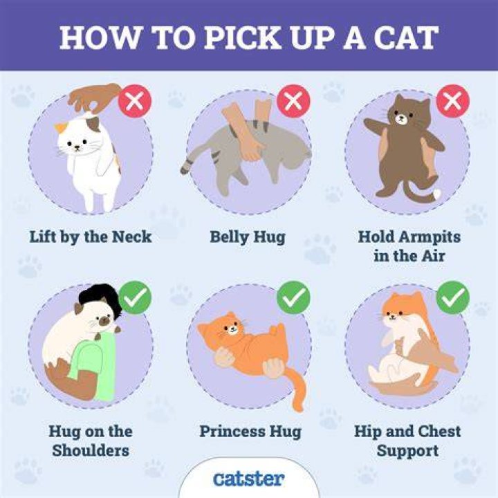 When can you pick baby up under arms?