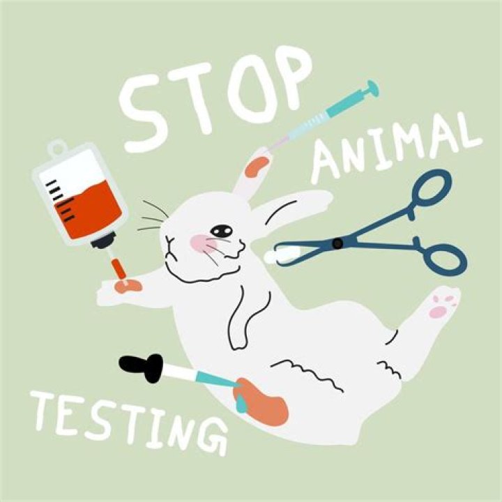When did Lush stop animal testing?