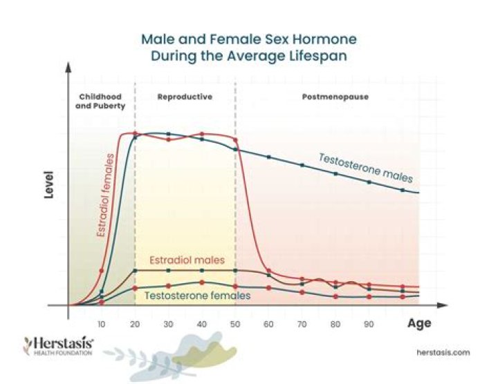 When do female hormones settle down?