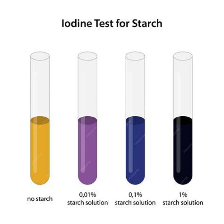 When leaves are tested for starch with iodine what colour indicates the presence of starch?